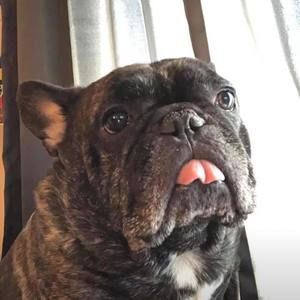 Meet your Posher, Sue